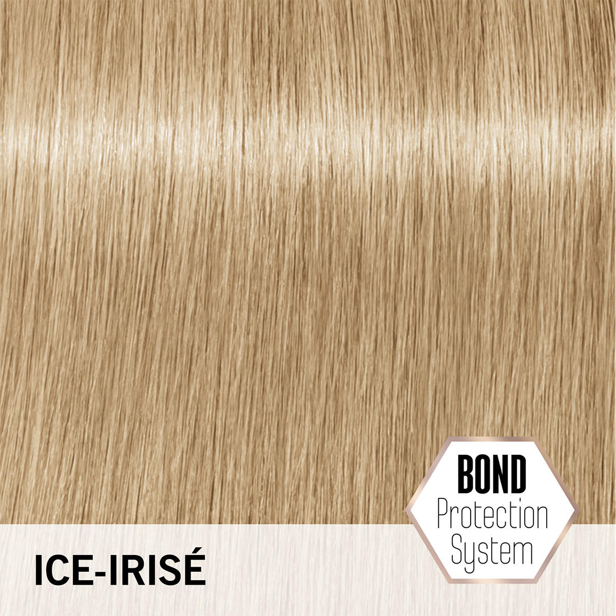 Schwarzkopf Professional Blondme Blonde Lifting Baslerbeauty