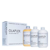 Olaplex Salon Intro Kit  - 1