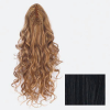 Ellen Wille Hairpiece Sangria Black - 1
