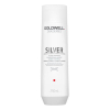 Goldwell Dualsenses Silver Shampoo 250 ml - 1