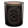 diptyque Feu de Bois Grey Color scented candle 300 g - 1