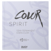 dusy professional Color Spirit Farbkarte  - 1