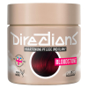 La rich'e Directions Haartönung Rich Naturals Bloodstone 100 ml - 1