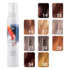 Lisap Foamy Up Color Mousse 93 Champagnerblond, 200 ml - 1