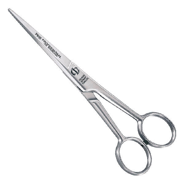 Hair scissors Professional 6" - 1