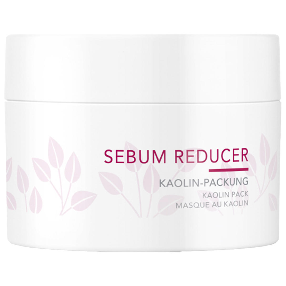 Charlotte Meentzen Sebum Reducer Kaolin-Packung 50 ml - 1