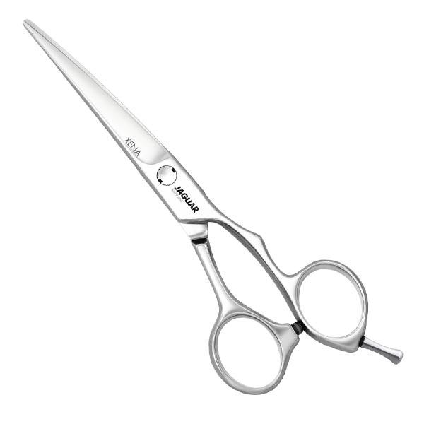 Jaguar Hair scissors Xena 6" silver - 1