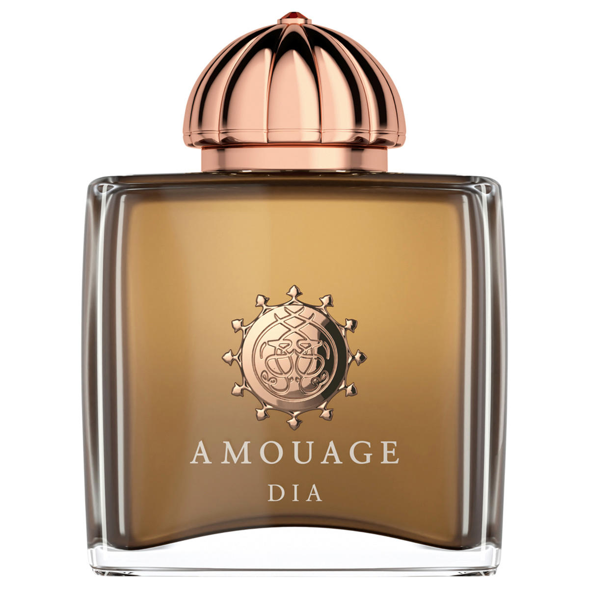 AMOUAGE Iconic Dia Woman Eau de Parfum 100 ml - 1