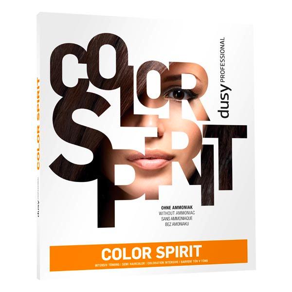 dusy professional Nuancier Color Spirit  - 1