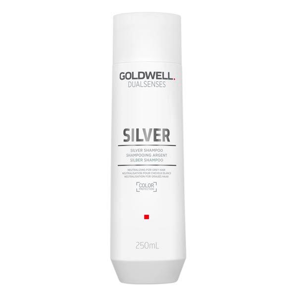 Goldwell Dualsenses Silver Shampoo 250 ml - 1