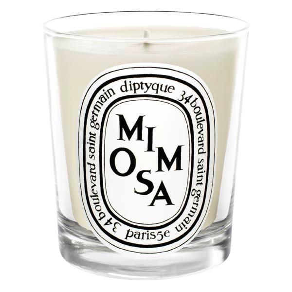 diptyque Mimosa scented candle 190 g - 1