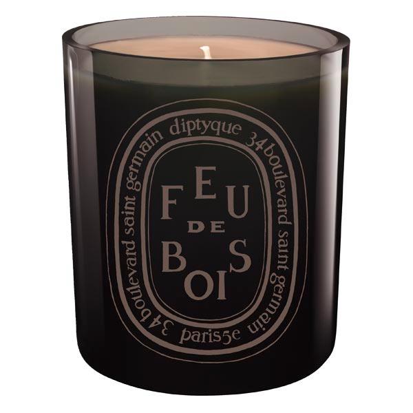 diptyque Feu de Bois Grey Color scented candle 300 g - 1