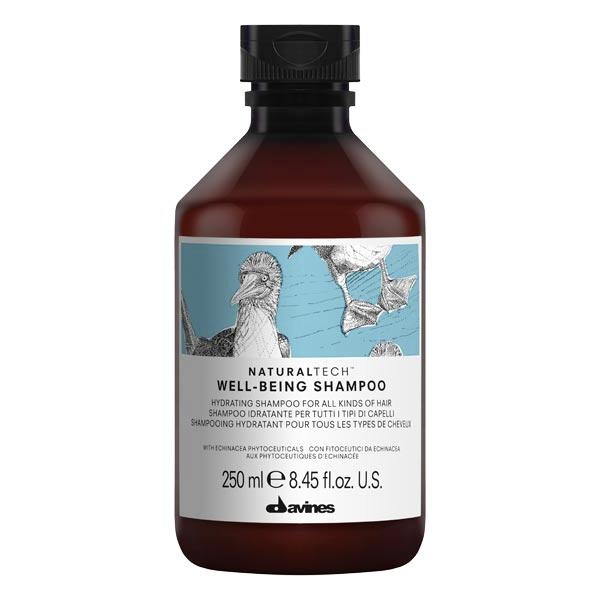 Davines Naturaltech Well-Being Shampoo 250 ml - 1