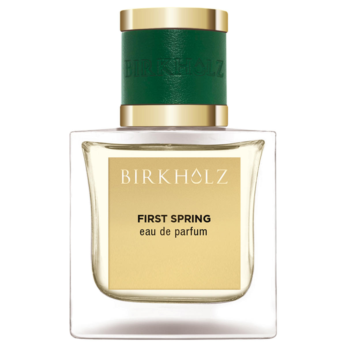 BIRKHOLZ First Spring Eau de Parfum 100 ml - 1