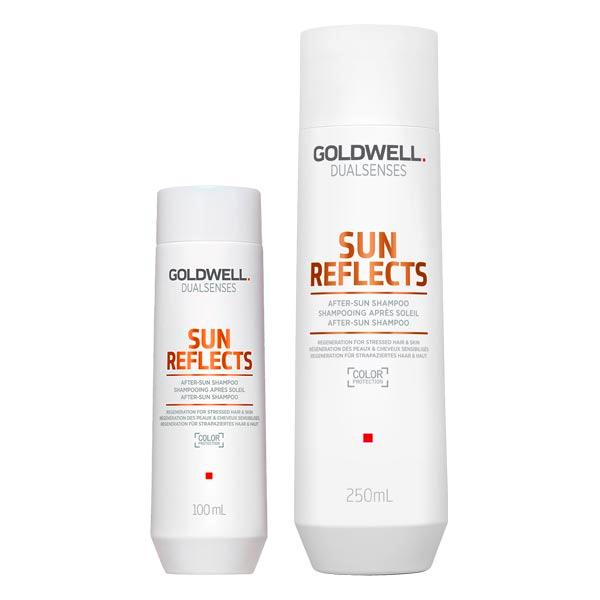 Goldwell Dualsenses Sun Reflects shampoing après-soleil  - 1