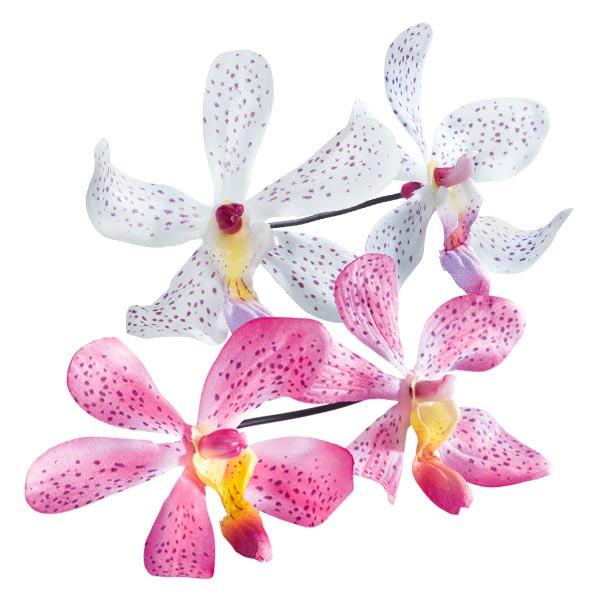 Dynatron Twisti Orchidee  - 1