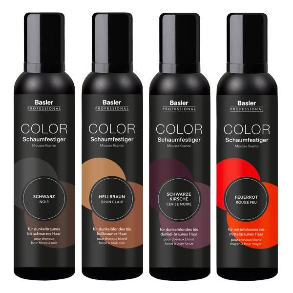 basler Color Mousse fixante  - 1