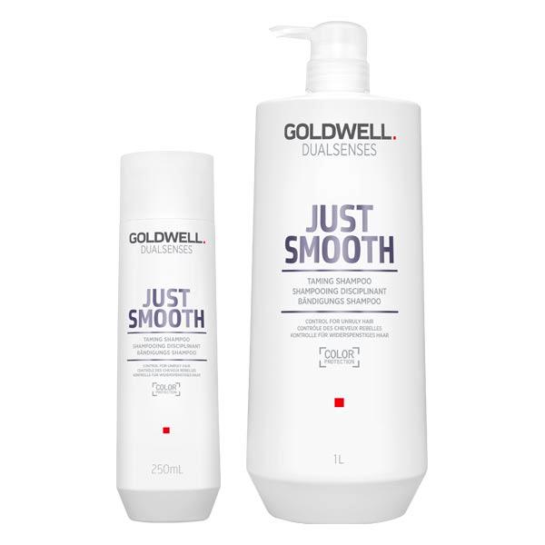 Goldwell Dualsenses Just Smooth Taming Shampoo  - 1