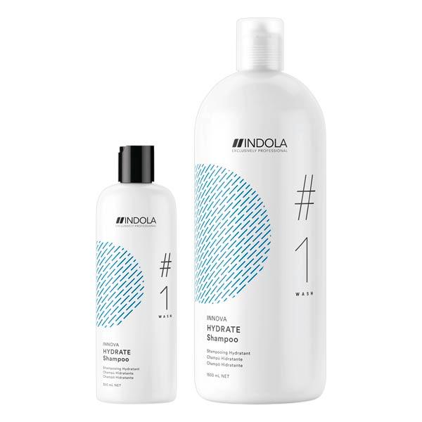 Indola Innova Hydrate Shampoo  - 1