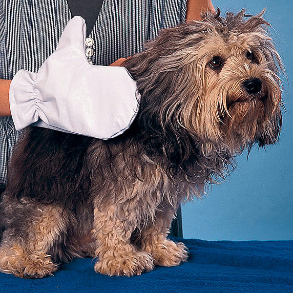 Trixie Fellpflege-Handschuh  - 1