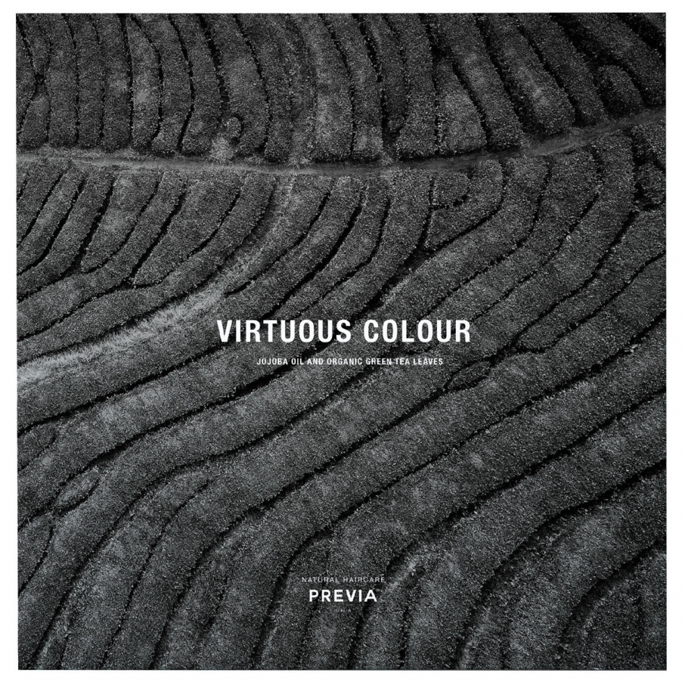 PREVIA Virtuous Colour Color Card  - 1