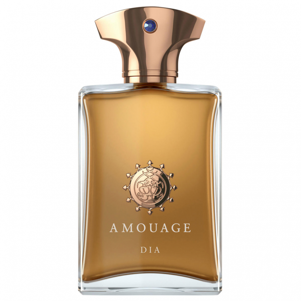 AMOUAGE Iconic Dia Man Eau de Parfum 100 ml - 1