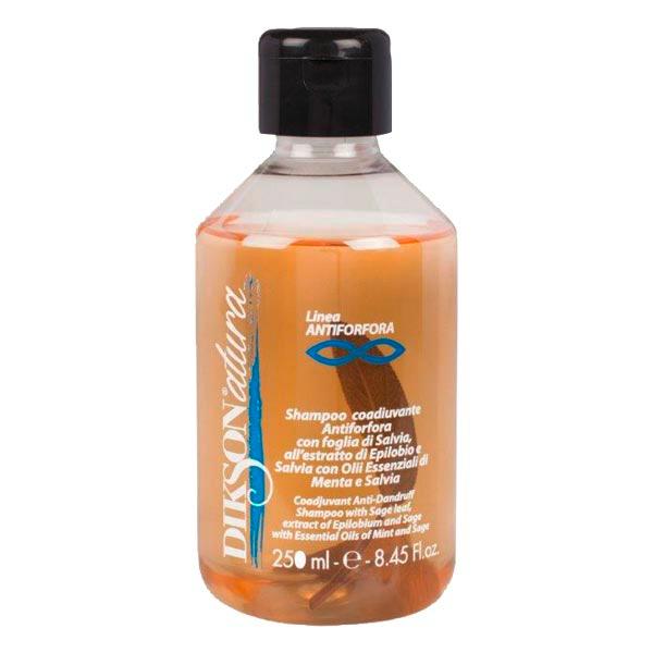 Dikson DiksoNatura Anti-Schuppen Shampoo 250 ml - 1