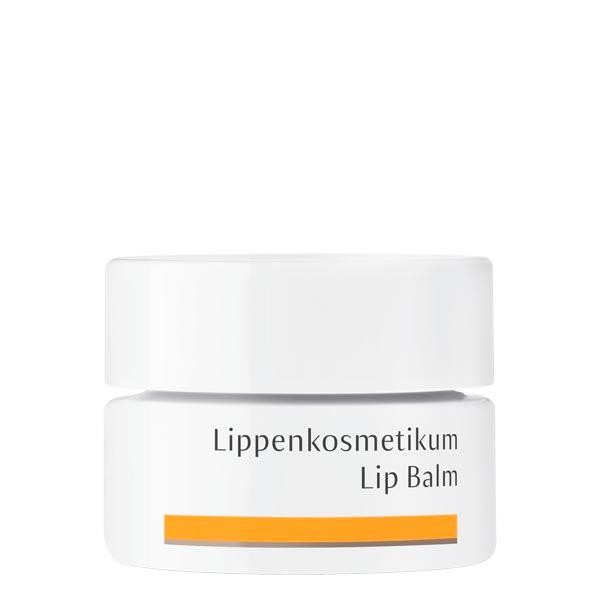 Dr. Hauschka Lippen cosmetica Inhoud 4,5 ml - 1