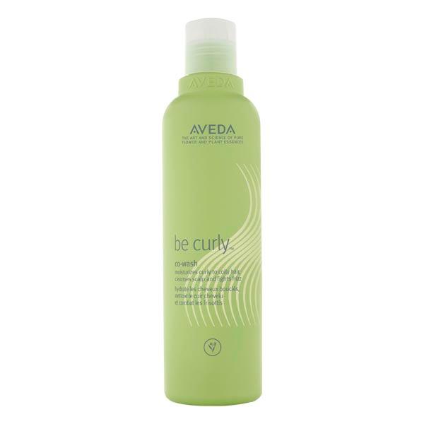 AVEDA Be Curly Co-Wash 250 ml - 1