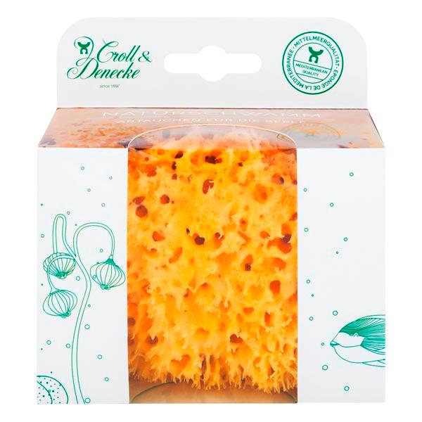 Croll & Denecke Natural sponge in environmentally friendly gift box  - 1