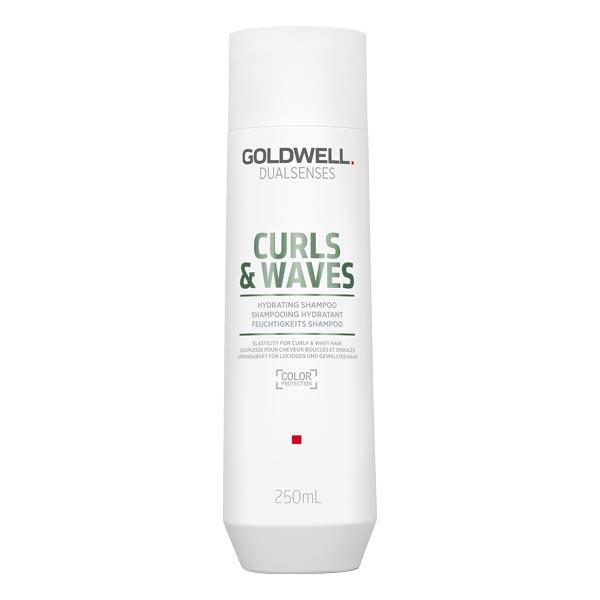 Goldwell Dualsenses Hydrating Shampoo 250 ml - 1