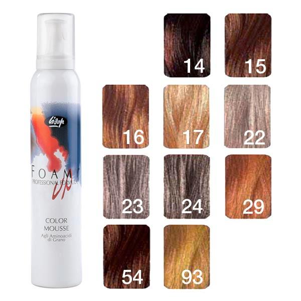Lisap Foamy Up Color Mousse 93 Champagnerblond, 200 ml - 1