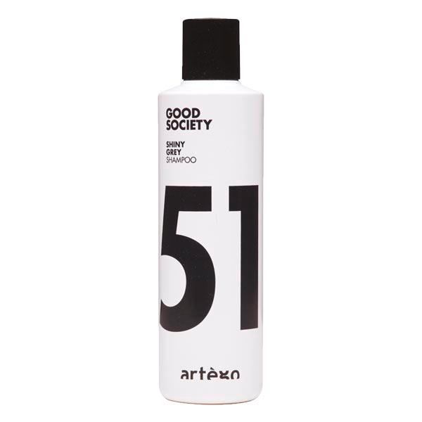 artègo Good Society Shiny Grey Shampoo  - 1