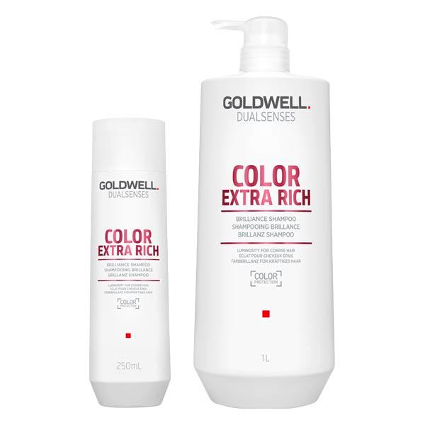 Goldwell Dualsenses Color Extra Rich Extra Rich Brilliance Shampoo  - 1
