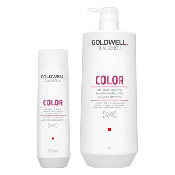 Goldwell Dualsenses Color Brilliance Shampoo  - 1