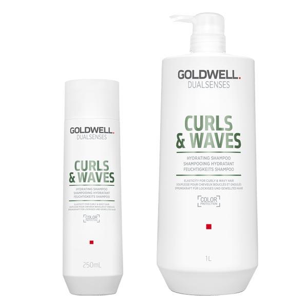 Goldwell Dualsenses Hydrating Shampoo  - 1