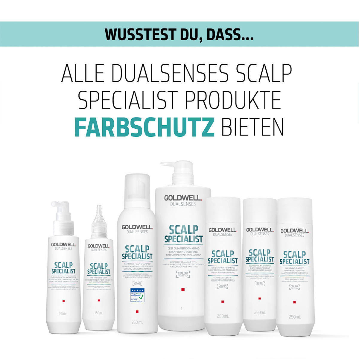 Goldwell Dualsenses Scalp Specialist Anti-Dandruff Shampoo 250 ml - 10