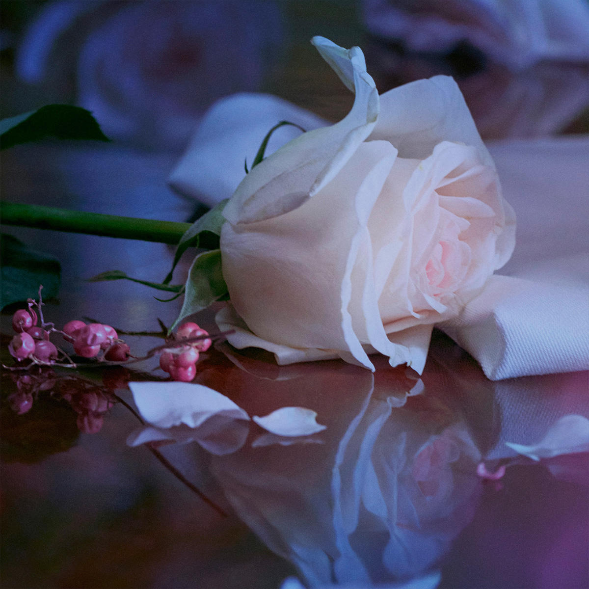 Maison Margiela REPLICA Up At Dawn Eau de Toilette 100 ml - 10