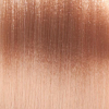 Basler Color 2002+ Coloration crème pour cheveux 10/0 blond platine, Tube 60 ml - 2