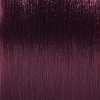 Basler Color Soft multi Caring Cream Color 5/66 marrone chiaro violetto intensivo, tubo 60 ml - 2