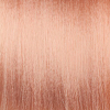 Basler Color Creative Premium Cream Color 12/3 extra blond goud, tube 60 ml - 2