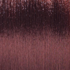 Basler Color 2002+ Color de pelo crema 5/i marrón claro intensivo, tubo 60 ml - 2