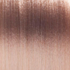Basler cream hair colour 10/2 light blond matte, tube 60 ml - 2
