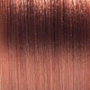 Basler Color 2002+ Colore dei capelli crema 8/3 oro biondo chiaro, tubo 60 ml - 2