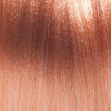 Basler Color 2002+ Colore dei capelli crema 11/03 biondo chiaro oro naturale - biondo beige pastello, tubo 60 ml - 2