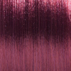 Basler Color 2002+ Colore dei capelli crema 6/6 viola biondo scuro - melanzana, tubo 60 ml - 2