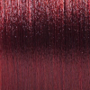 Basler Color 2002+ Color de pelo crema 6/55 rubio oscuro caoba intensivo, tubo 60 ml - 2