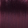 Basler Color 2002+ Colore dei capelli crema 5/66 marrone chiaro violetto intensivo, tubo 60 ml - 2