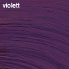 Basler Color 2002+ Coloration pour mèches violet, Tube 60 ml - 2