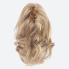 Ellen Wille Power Pieces Frappè di parrucchini Dark Blonde - 2